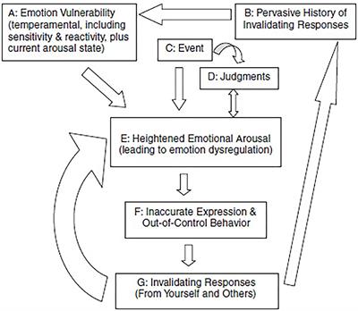Mental Capacity, Decision-Making and Emotion Dysregulation in Severe Enduring Anorexia Nervosa